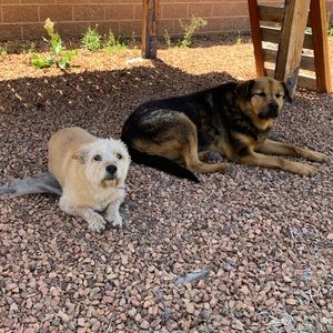 Meet your Posher, Sierra